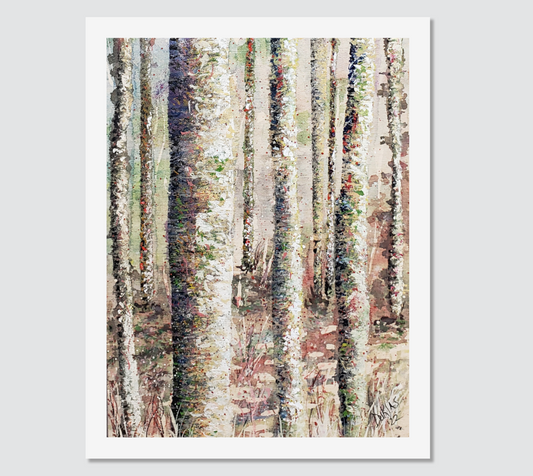 Sunshine Coast Forest Art Print